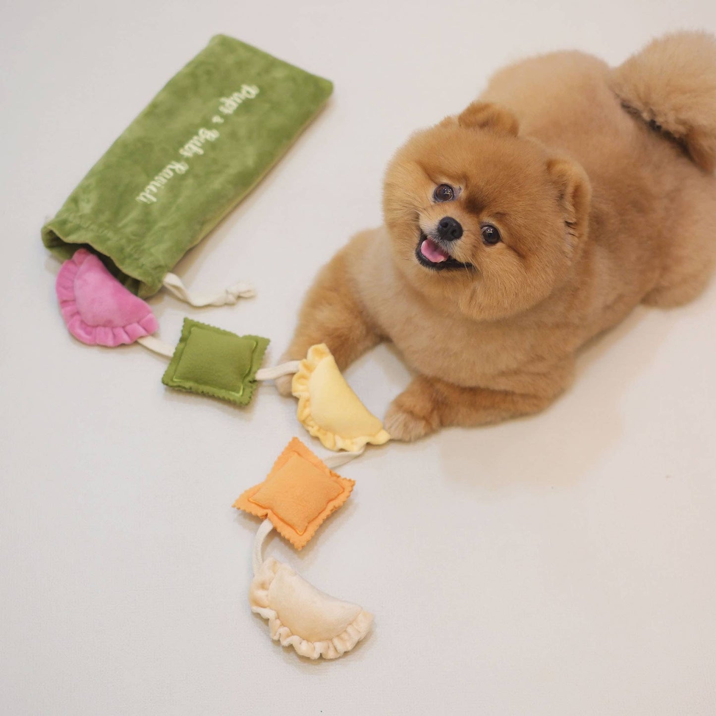 Ravioli Nosework Enrichment Toy | Squeaker | Crinkle