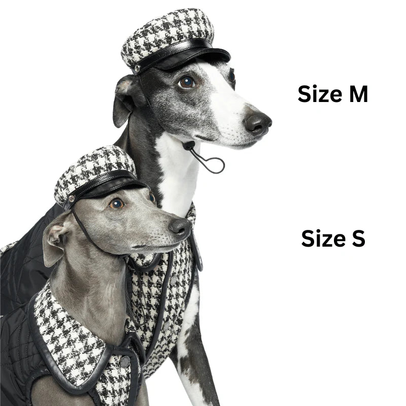 Soho Dog Hat