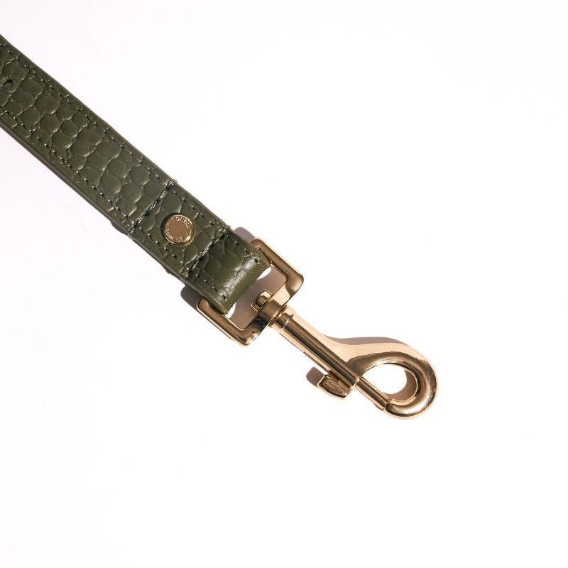Emerald Leather Dog Leash