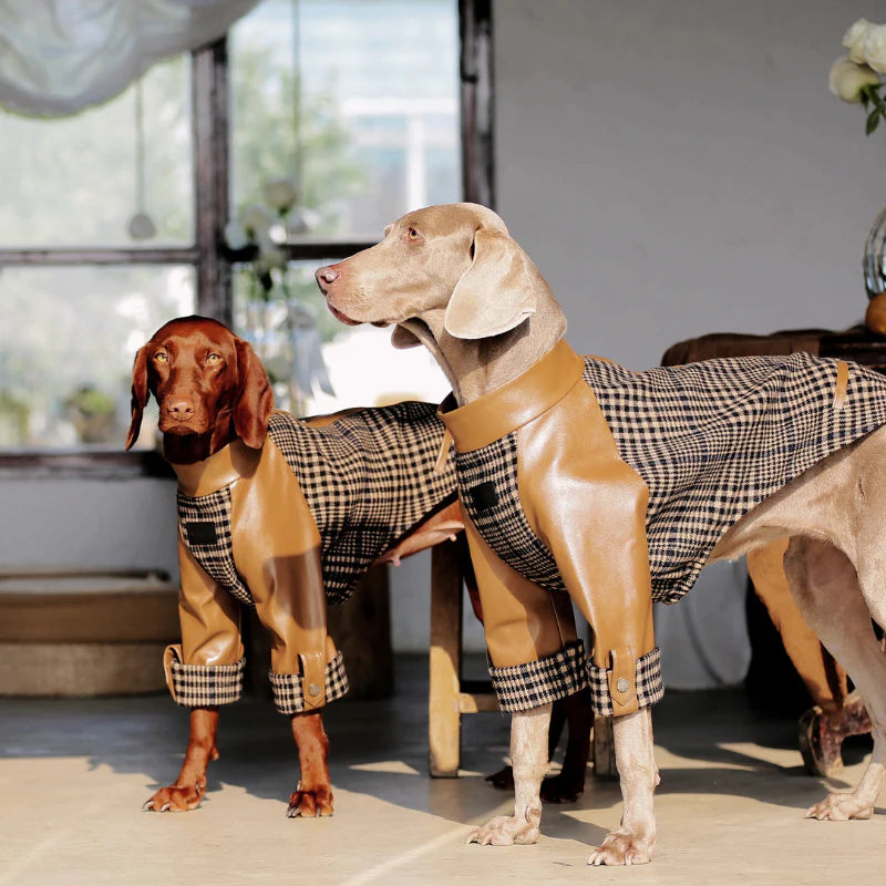 Ashwood Checkered Jacket