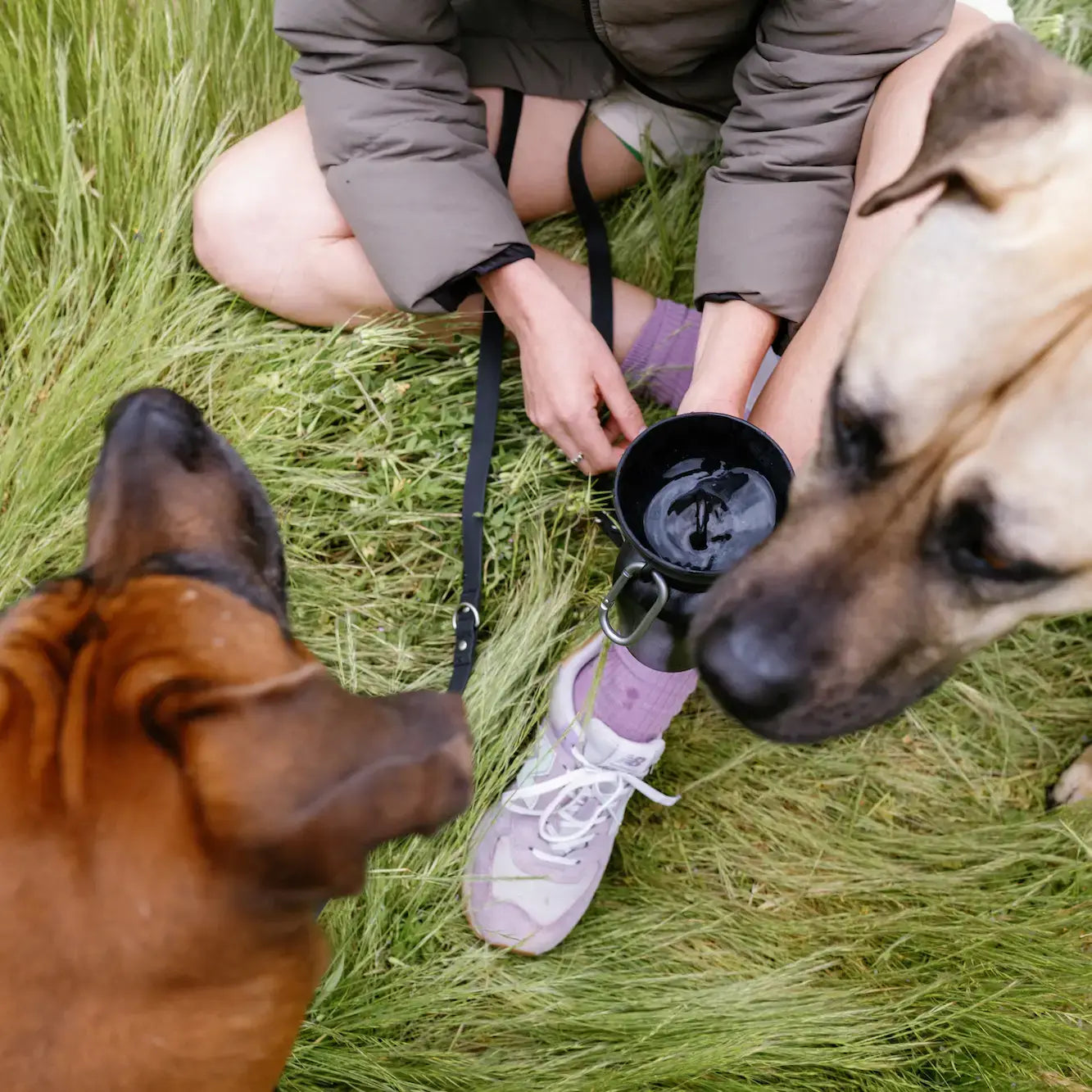 Dog Travel Water Bottle - 20oz Flip