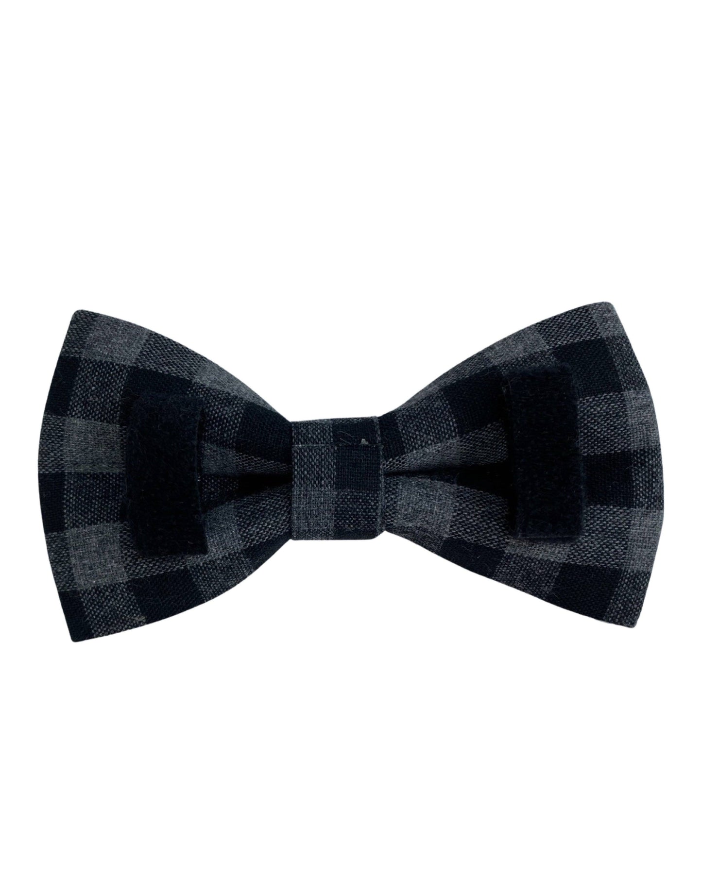 The Doggie Bow Tie - Denver