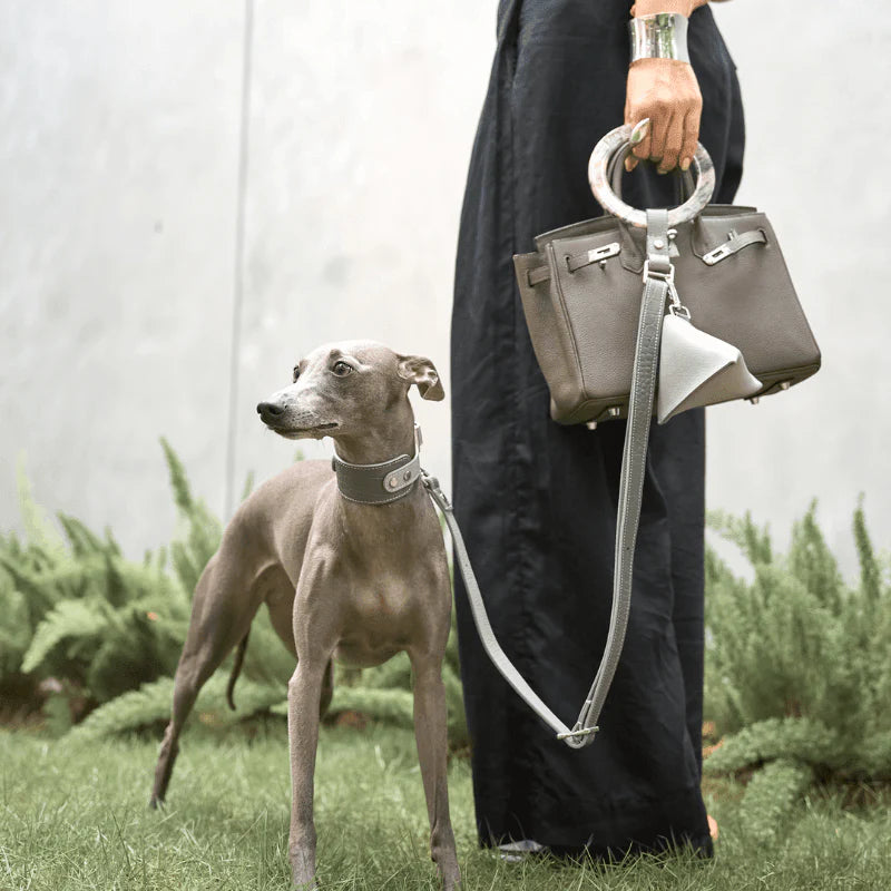 Moonstone Leather Dog Collar