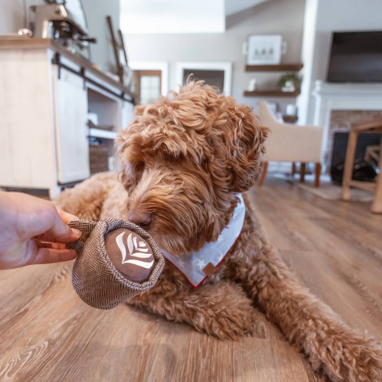 Latte Pop / Enrichment Toy Set // Snuffle Toy