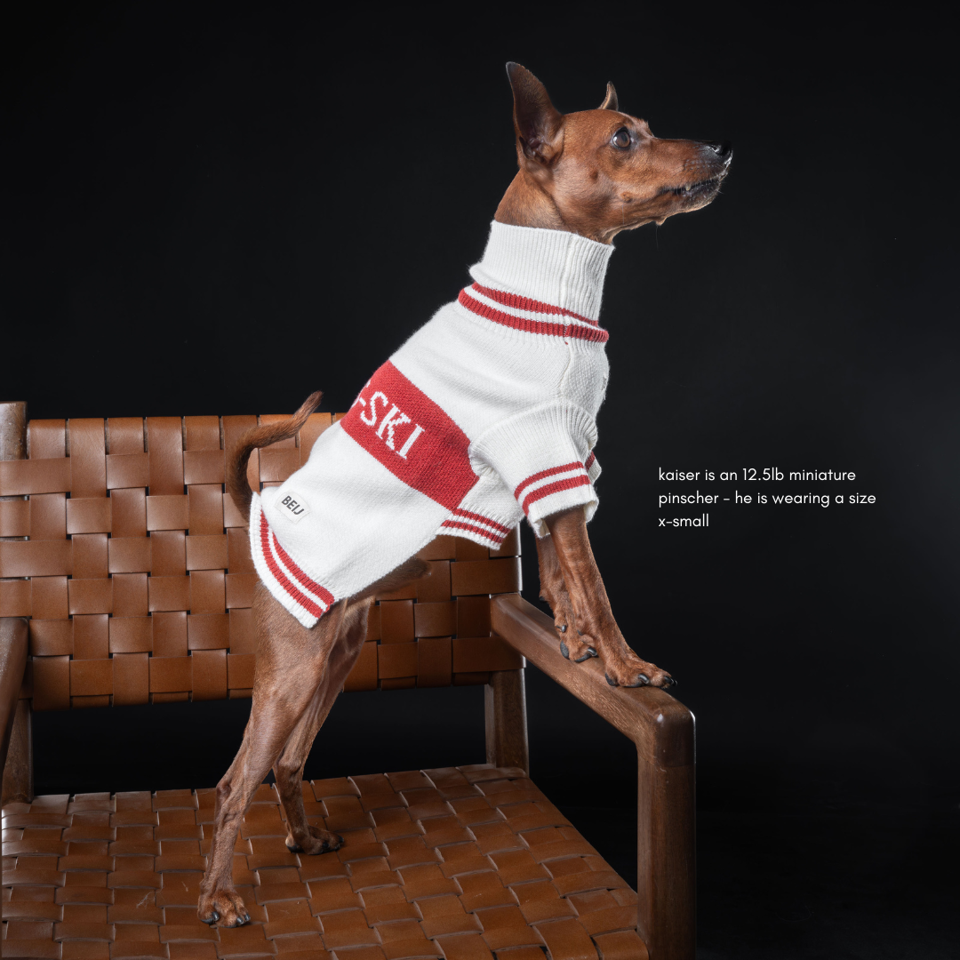 Après-ski Pet Sweater for Dogs and Cats