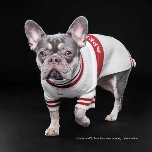 Après-ski Pet Sweater for Dogs and Cats