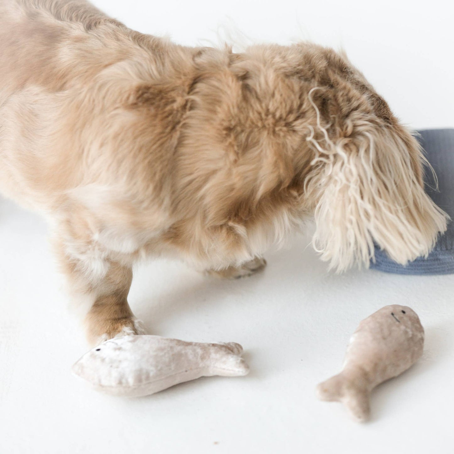 Sardines - Enrichment Dog Toy