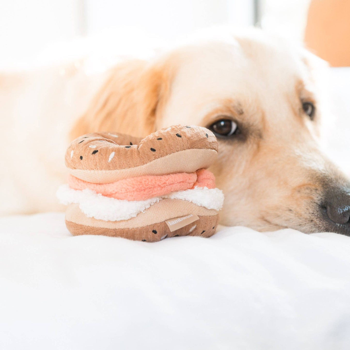Bagel + Pickle // ENRICHMENT DOG TOY