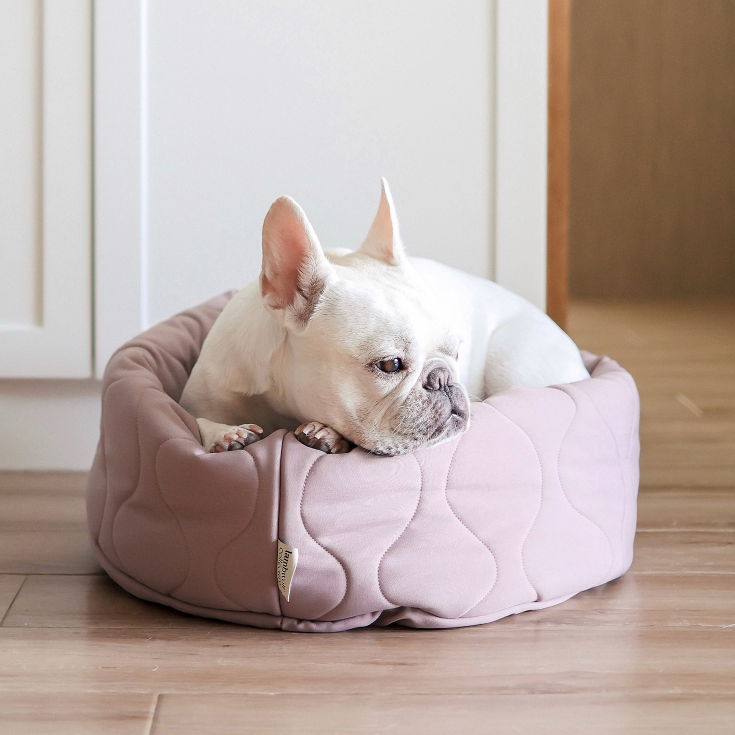 TAART DOG BED