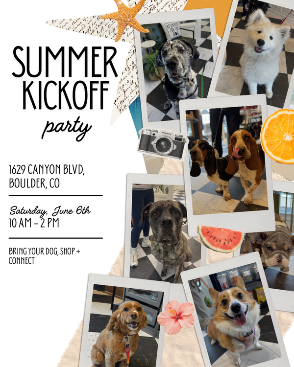 Summer Kickoff Party
