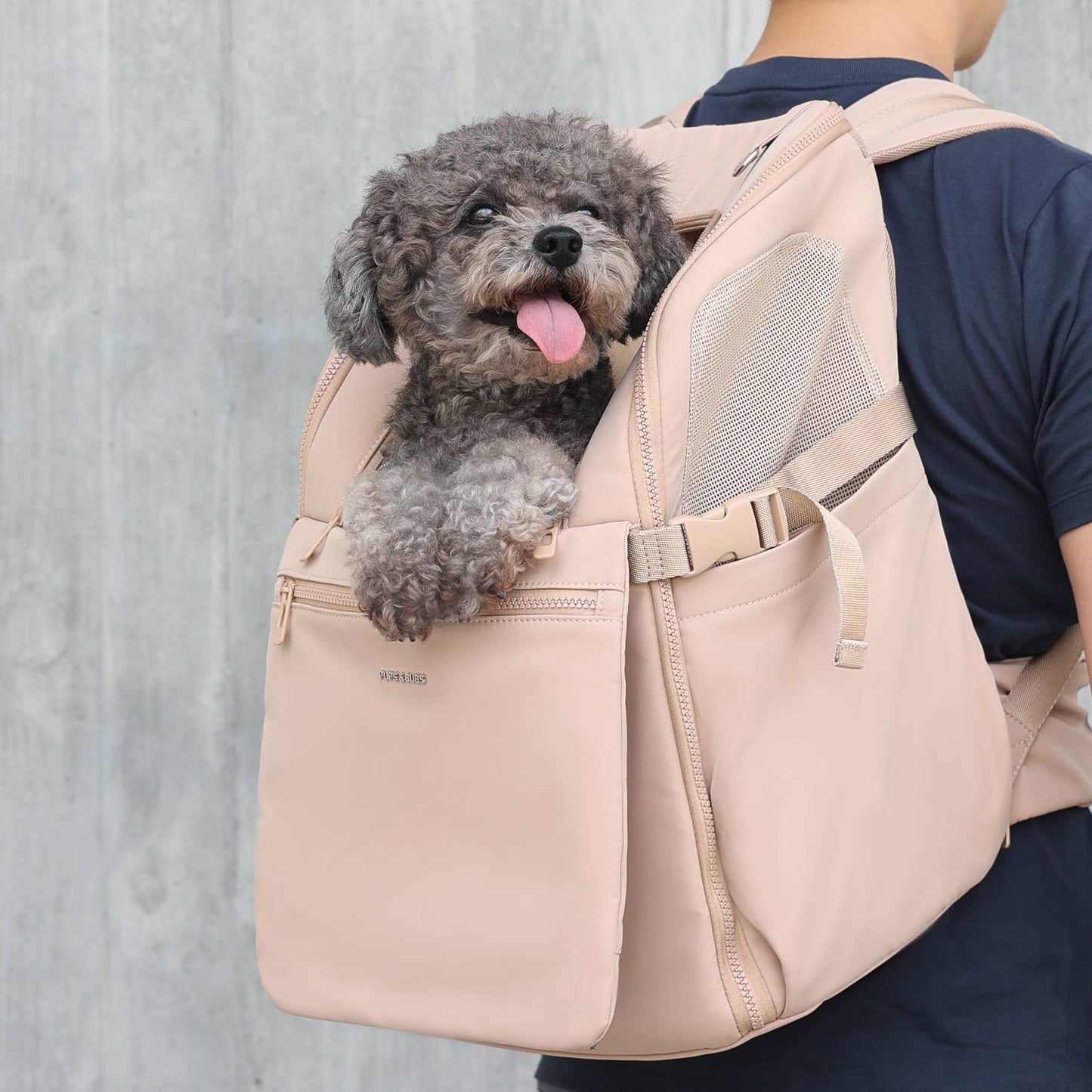 Traveler Pet Carrier Backpack | Dog Carrier | Cat Carrier