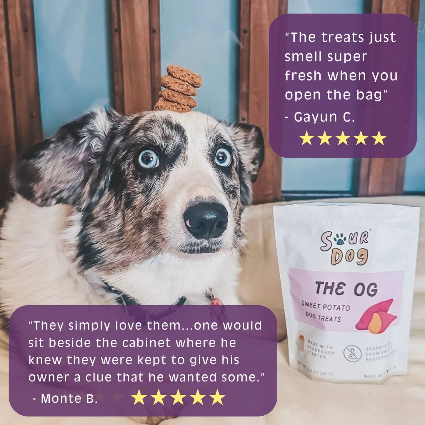 Sweet Potato Sourdough Dog Treats - Gut Friendly | 3.5 oz