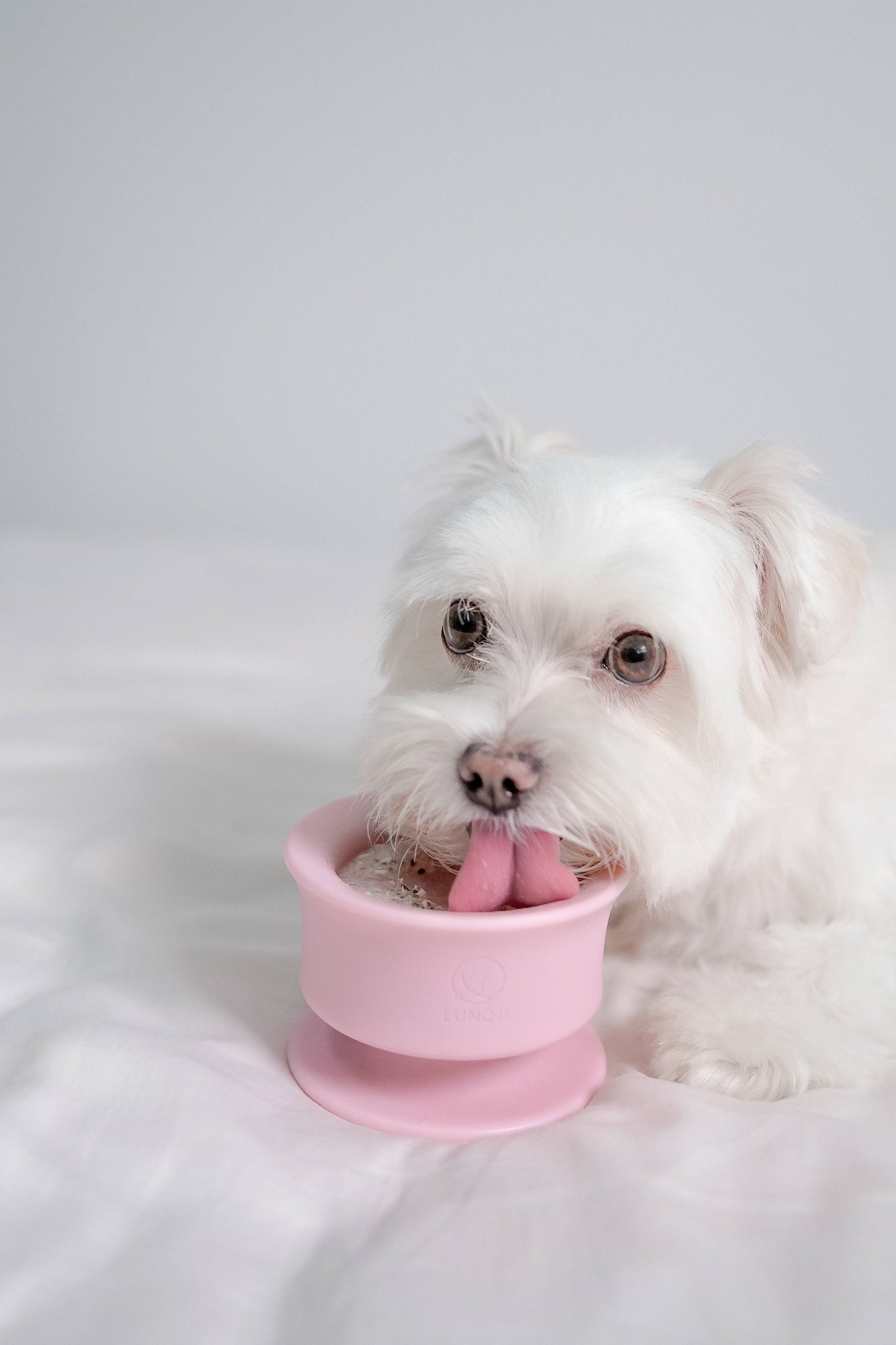 CHEWDEN Trove: Dog Enrichment Feeder | Frozen Treat Cup