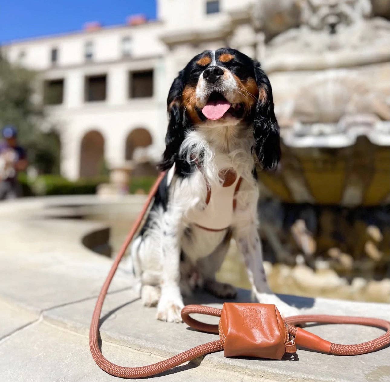 The Classic Leash - Saddle
