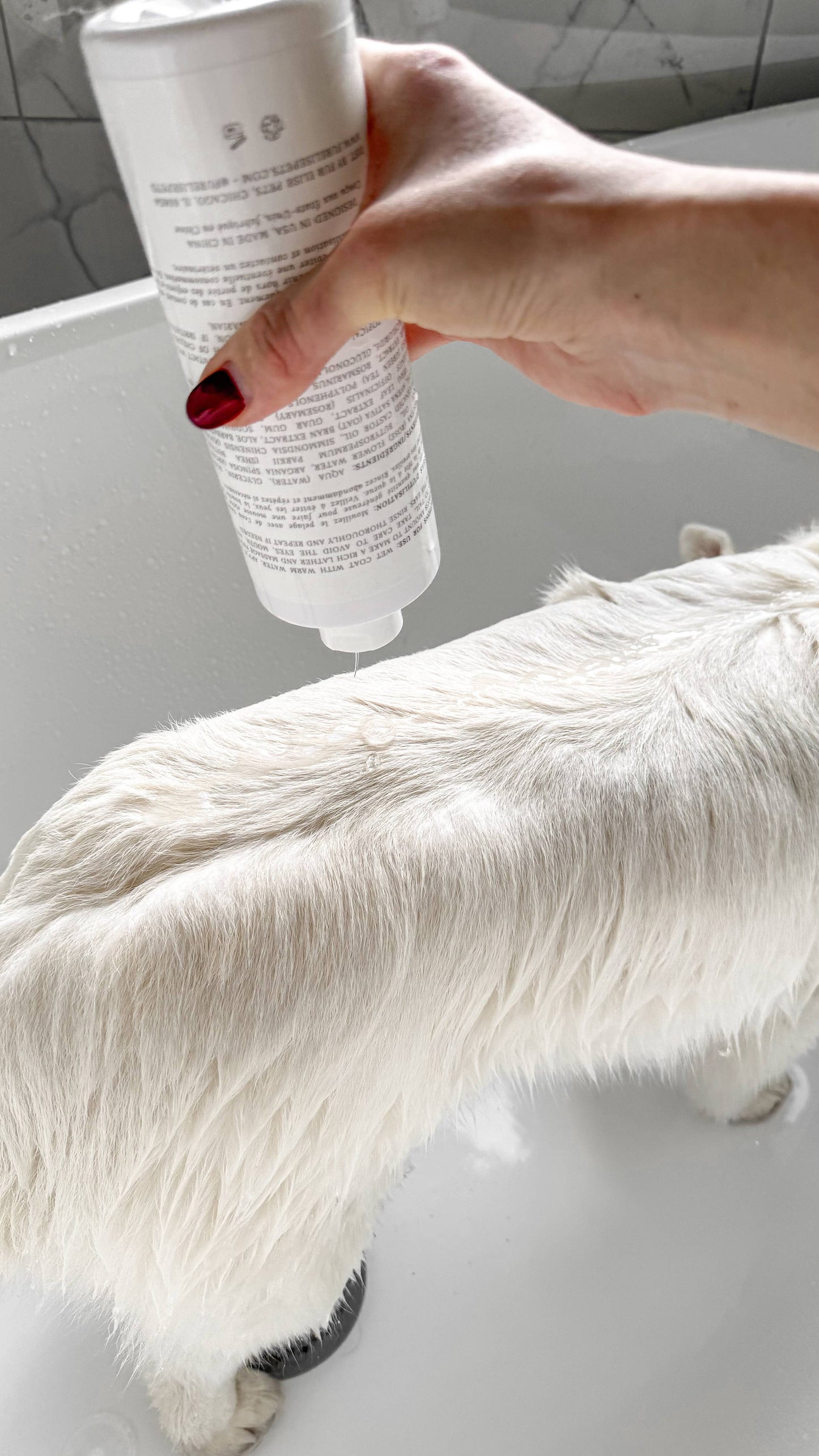 Le Pet Wash