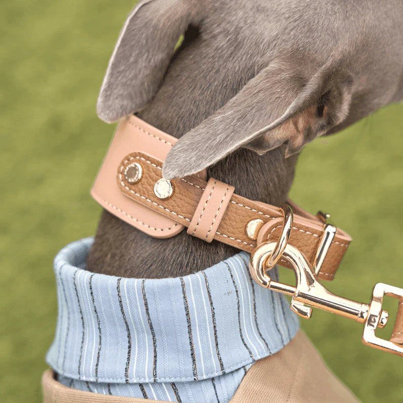 Blushwood Leather Dog Collar