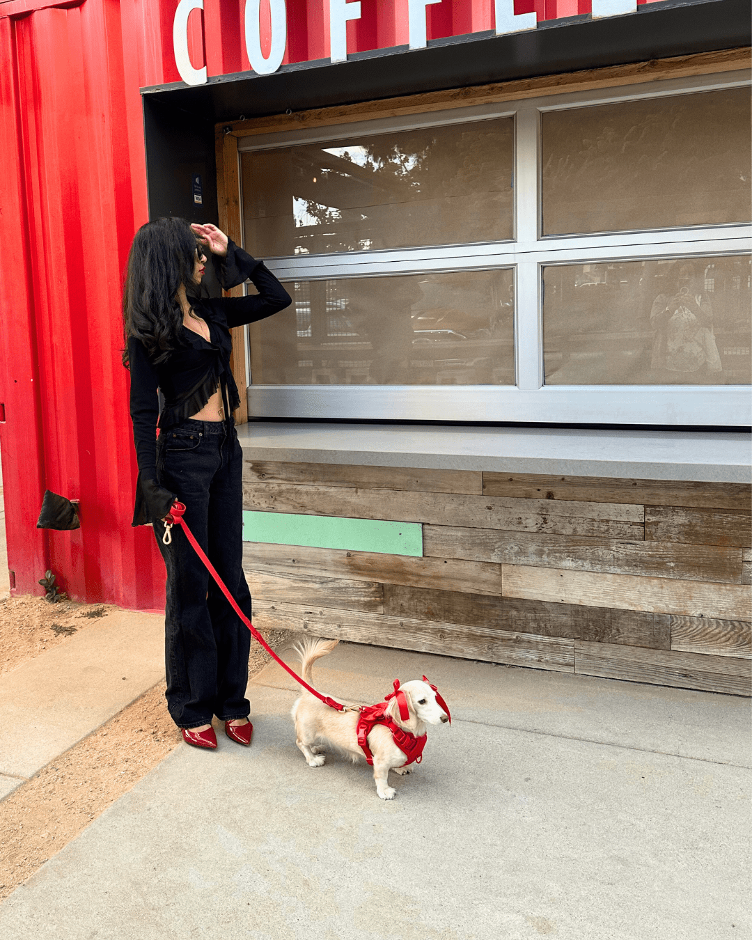 Wander! Bow Harness Kit Cherry