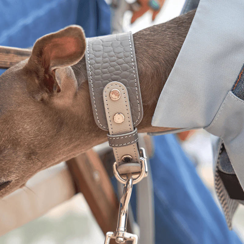 Moonstone Leather Dog Collar