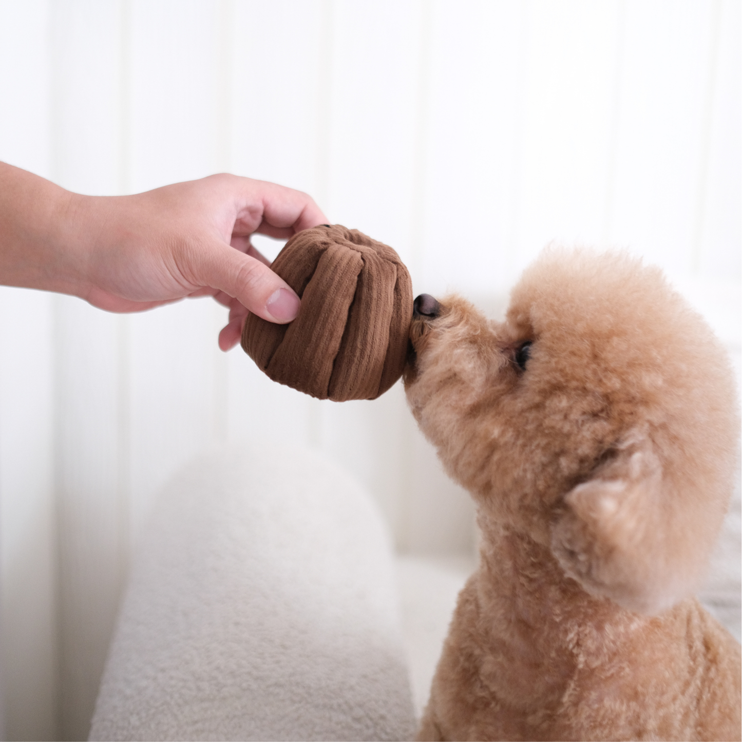 CANELE ENRICHMENT DOG TOY