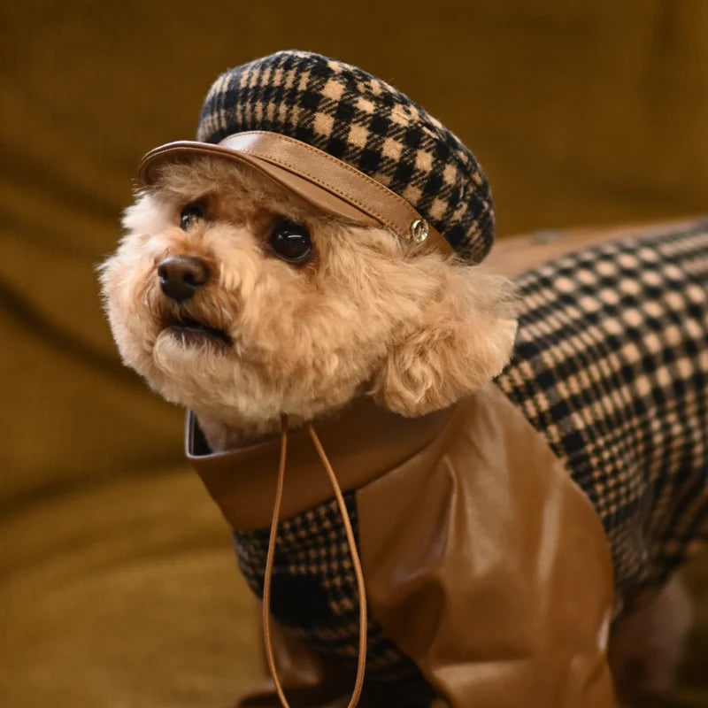 Ashwood Dog Hat