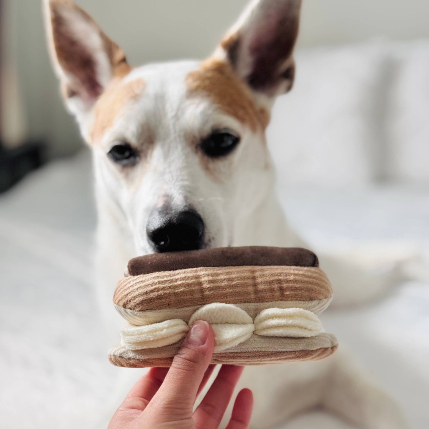 Eclair / Enrichment Dog Toy