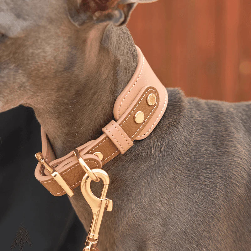 Blushwood Leather Dog Collar