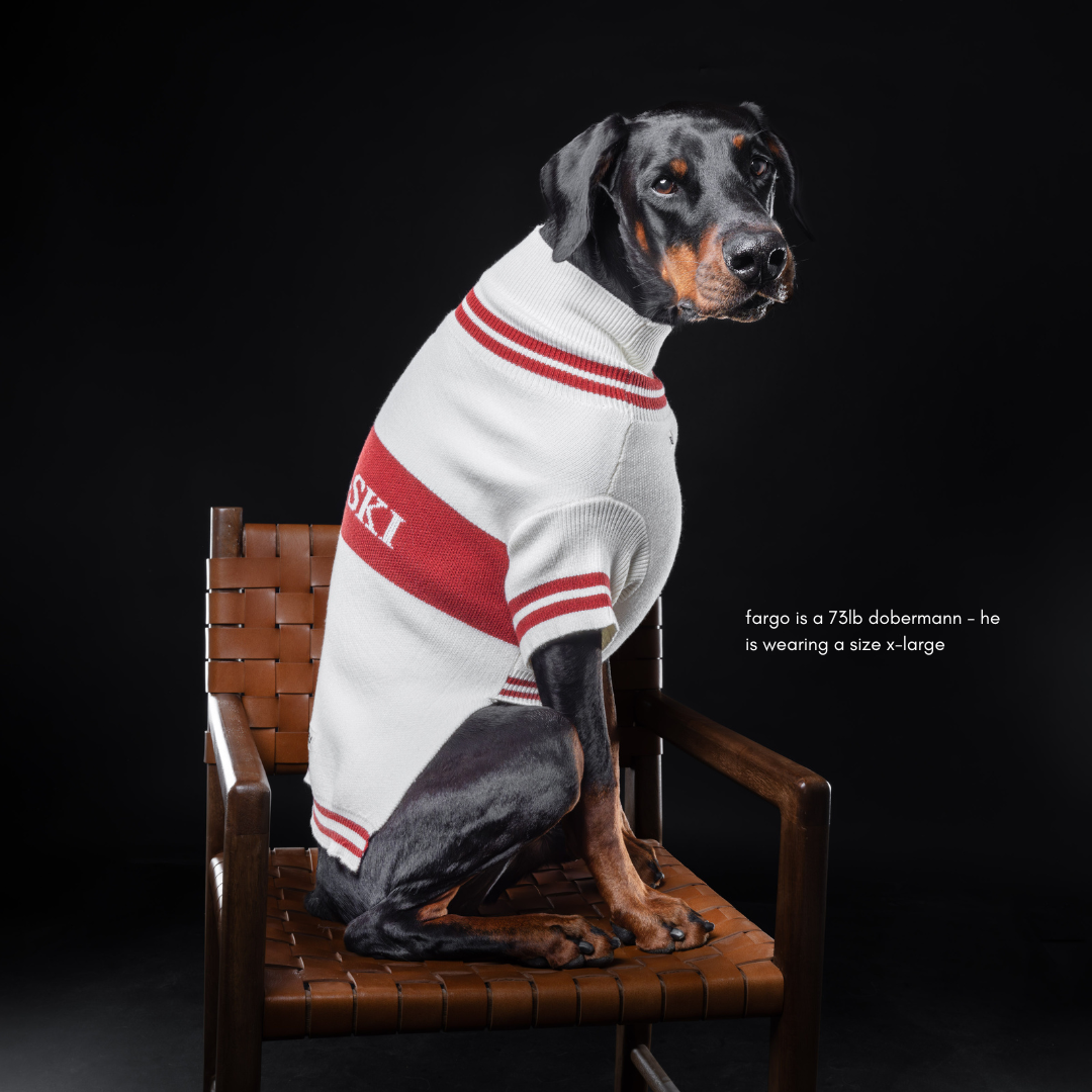 Après-ski Pet Sweater for Dogs and Cats