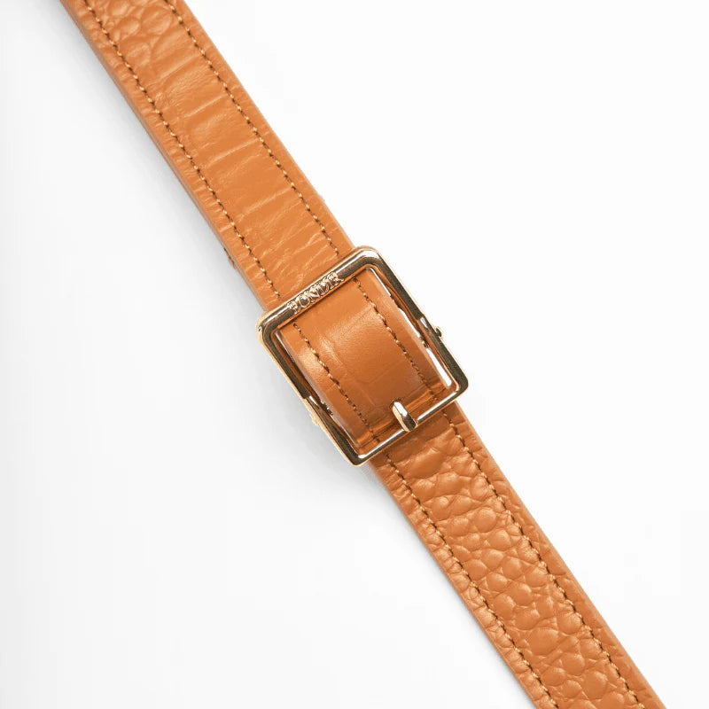 Amber Leather Dog Leash