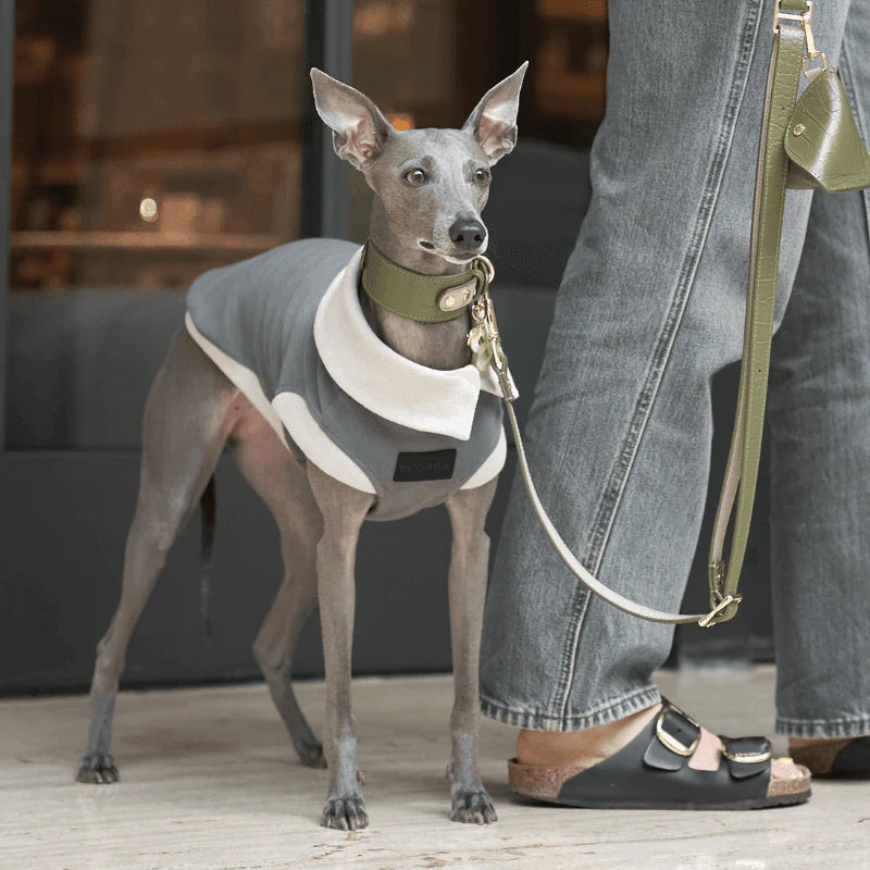 Emerald Leather Dog Collar