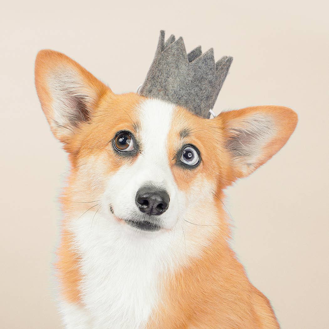 NEUTRAL PARTY CROWNS