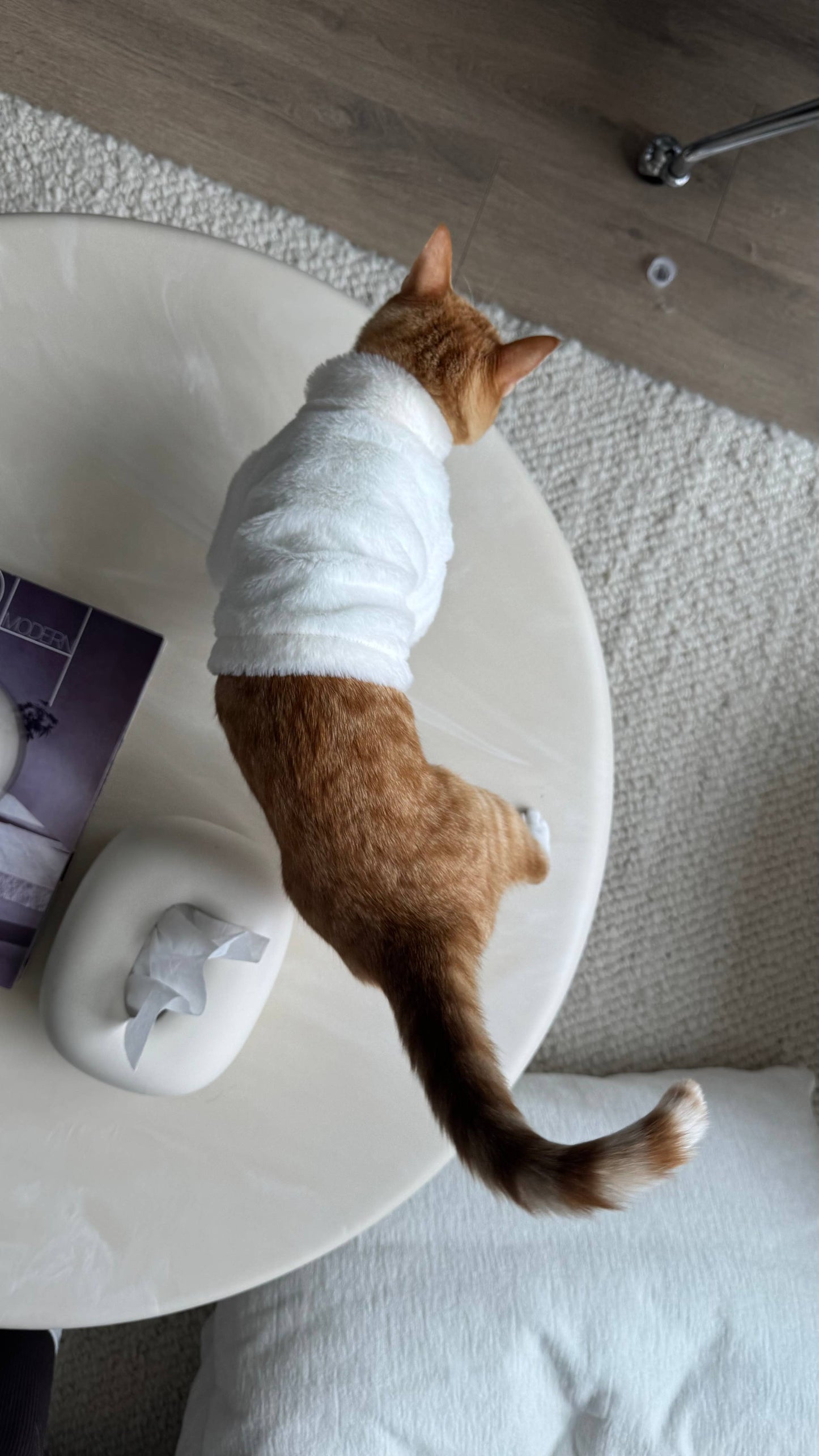 Furi Pet Coat - Bone