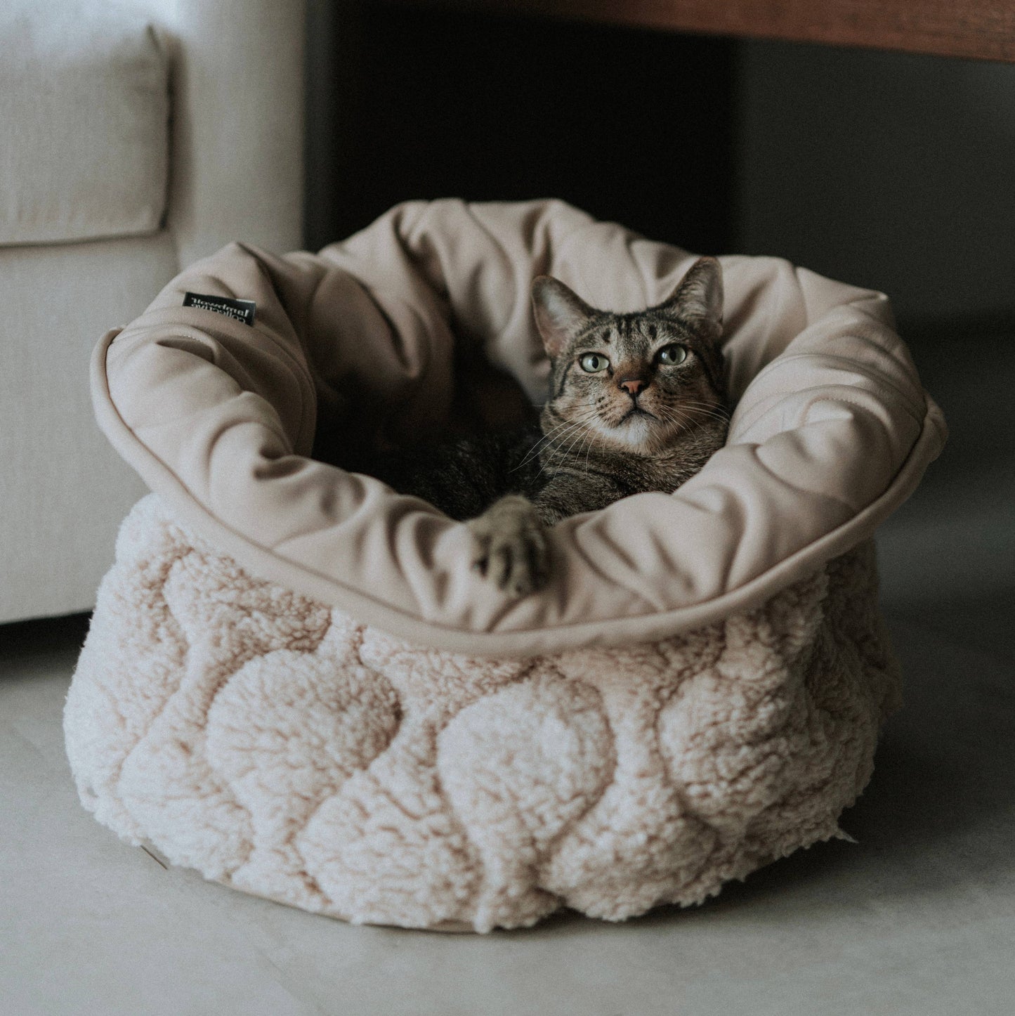 TAART DOG BED