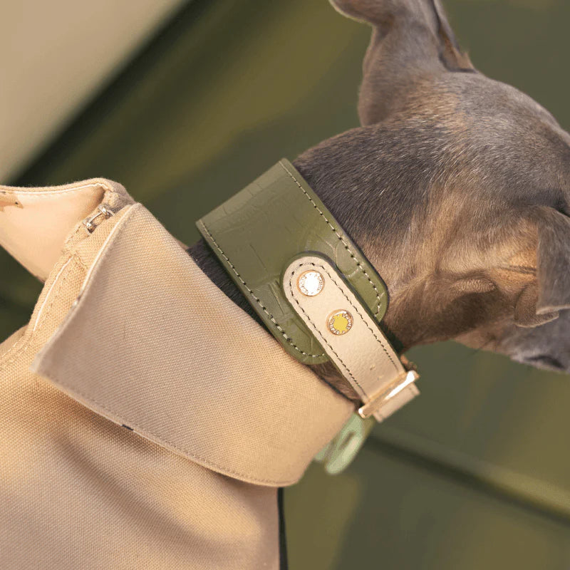 Emerald Leather Dog Collar