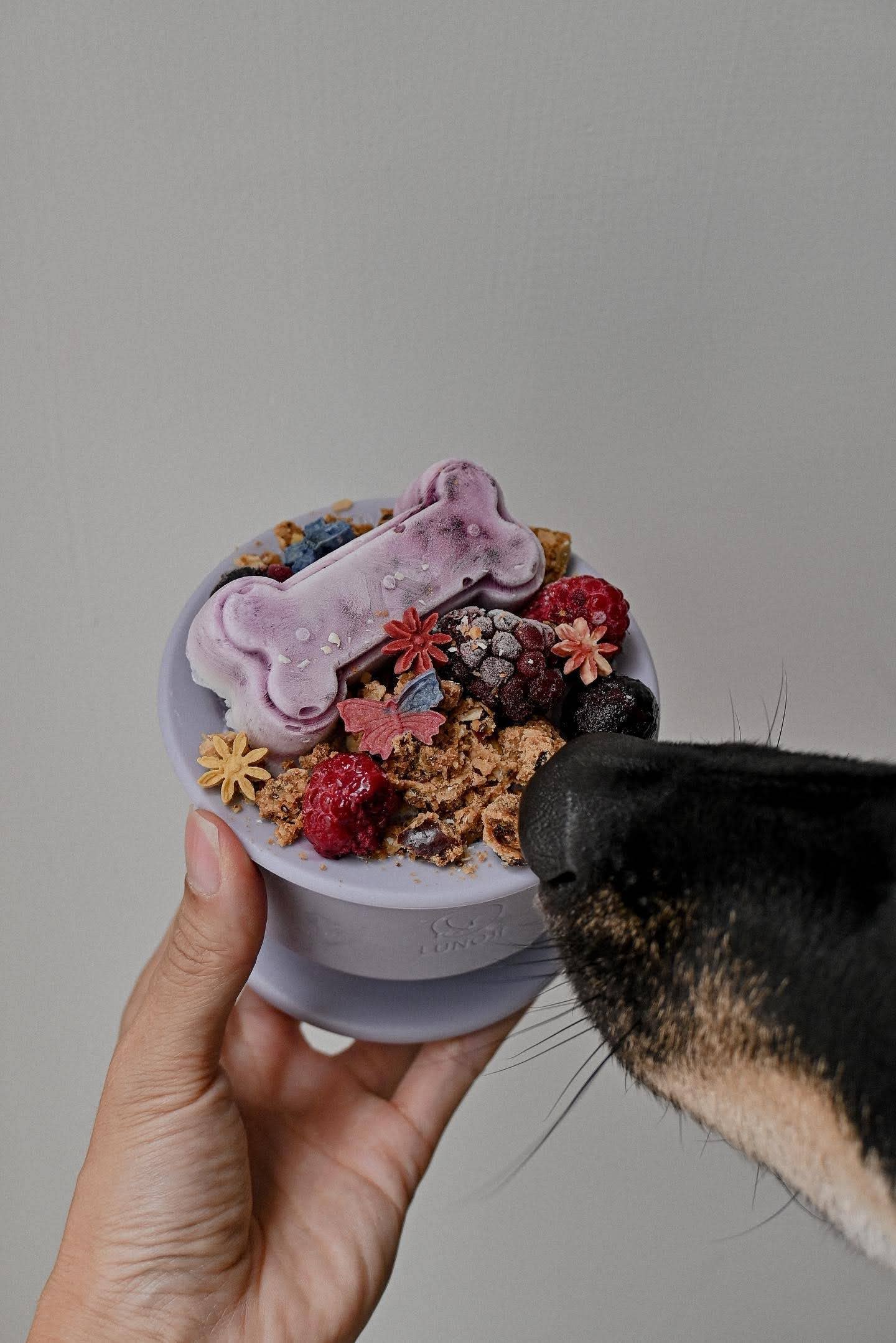 CHEWDEN Trove: Dog Enrichment Feeder | Frozen Treat Cup