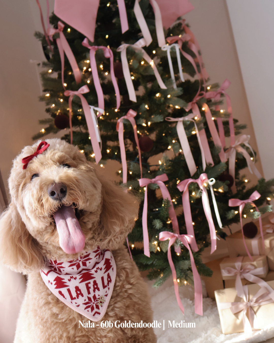 BANDANA | FA LA LA, PINK