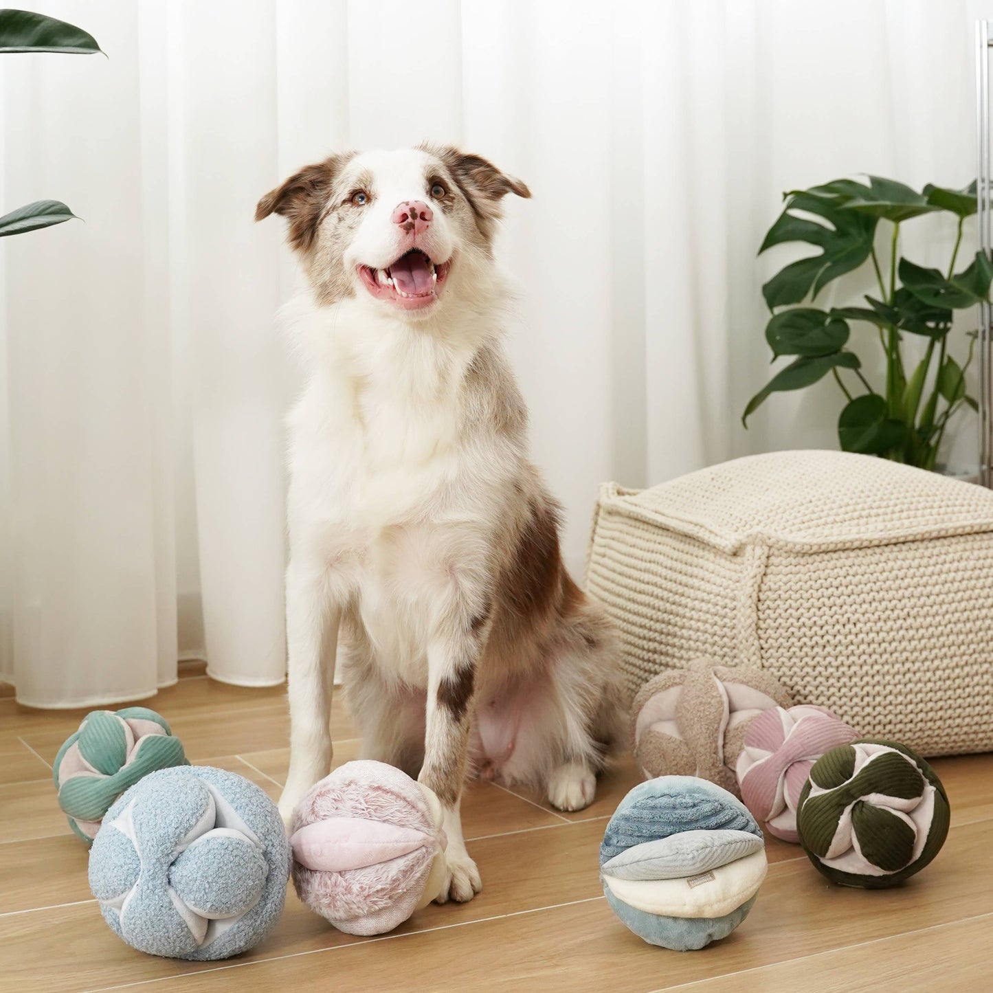 MONTI Enrichment Toy