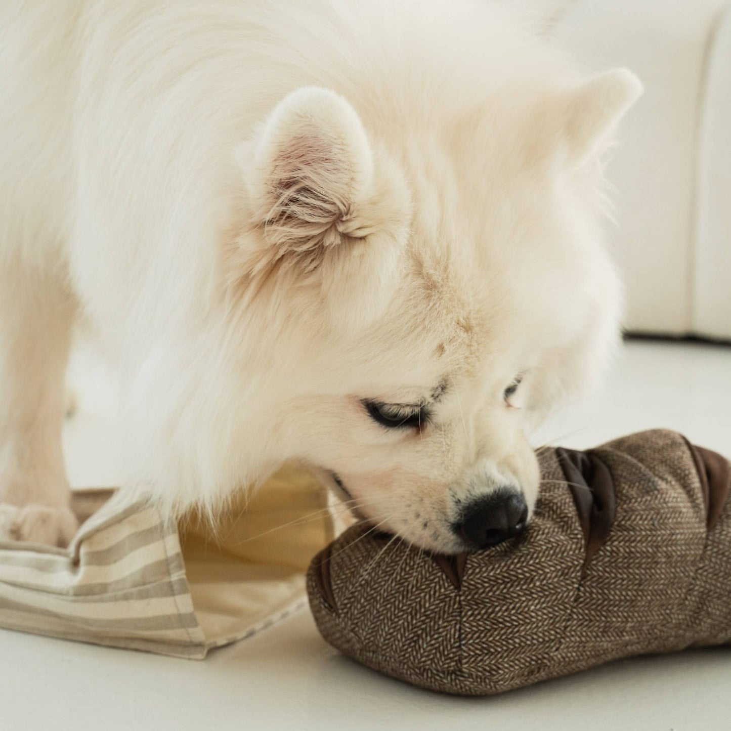 RYE BREAD // ENRICHMENT DOG TOY