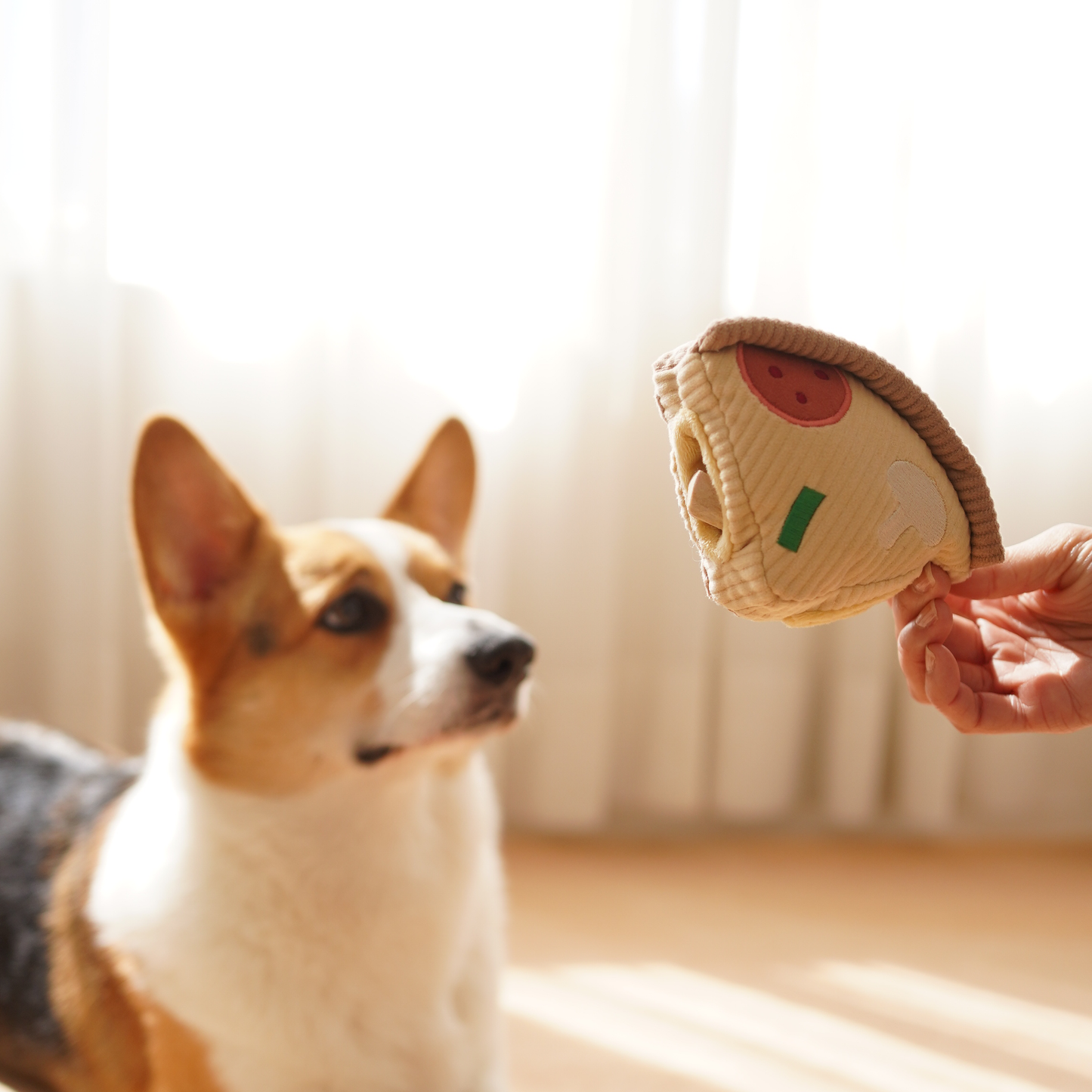 DEEP DISH PIZZA // ENRICHMENT DOG TOY