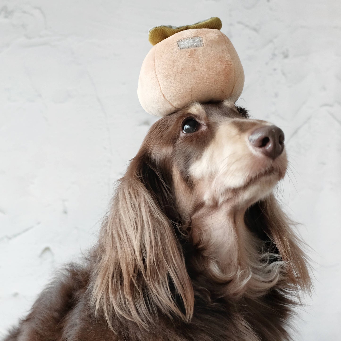 Persimmon / Enrichment Dog Toy // Snuffle Toy