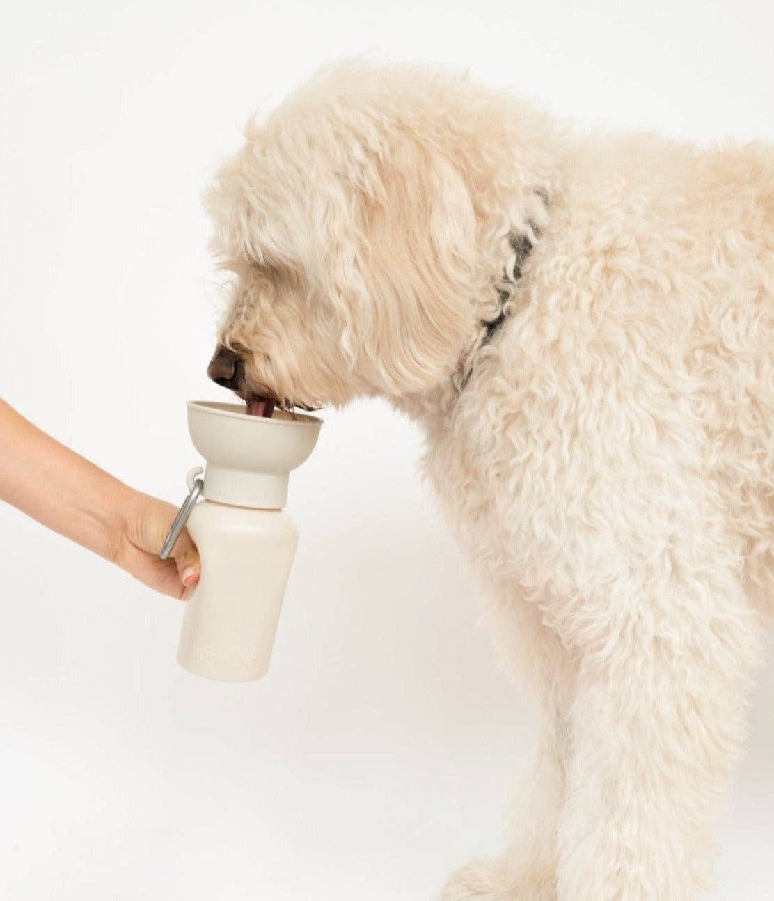 Dog Travel Water Bottle - 20oz Flip