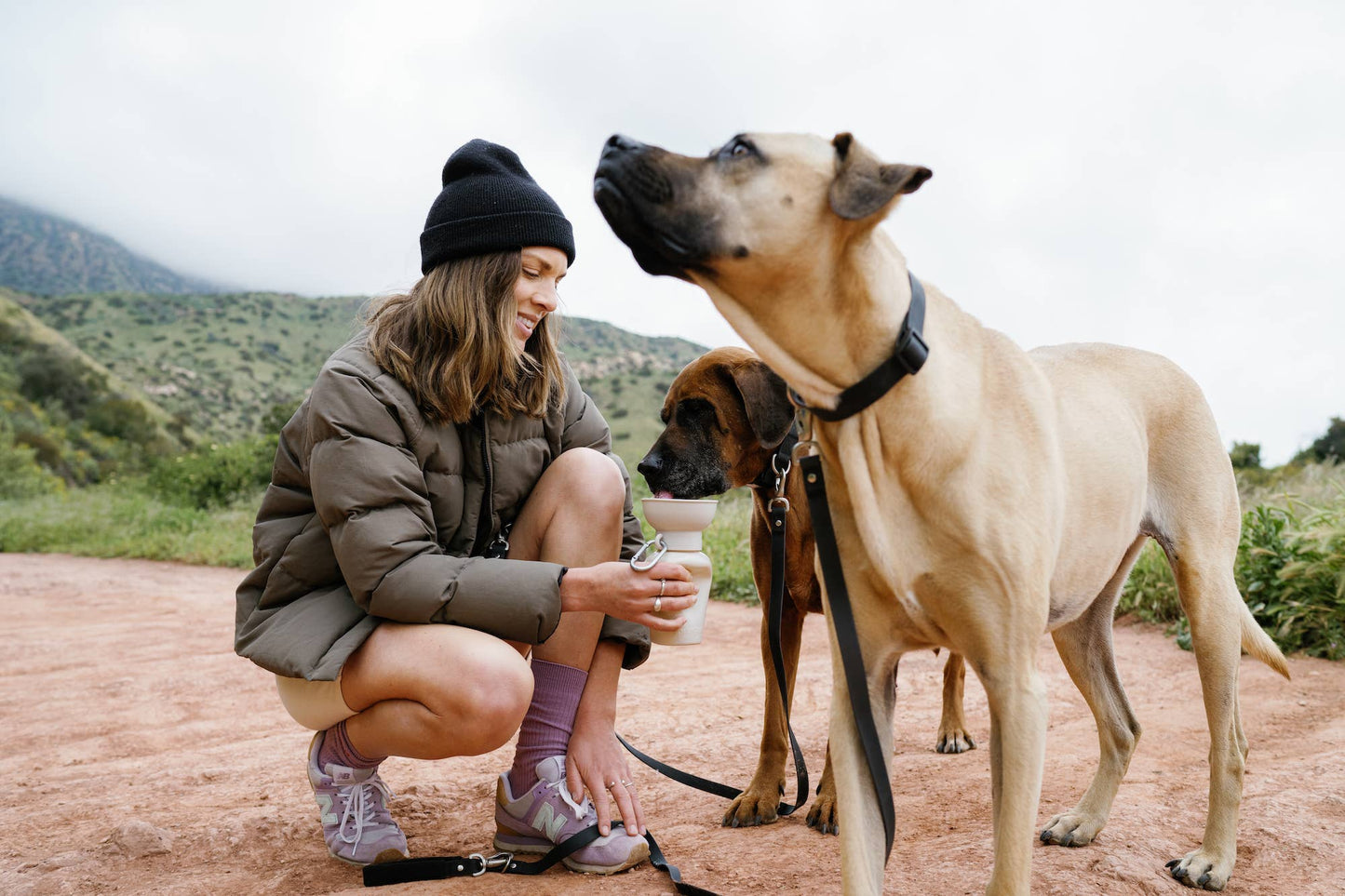 Dog Travel Water Bottle - 20oz Flip
