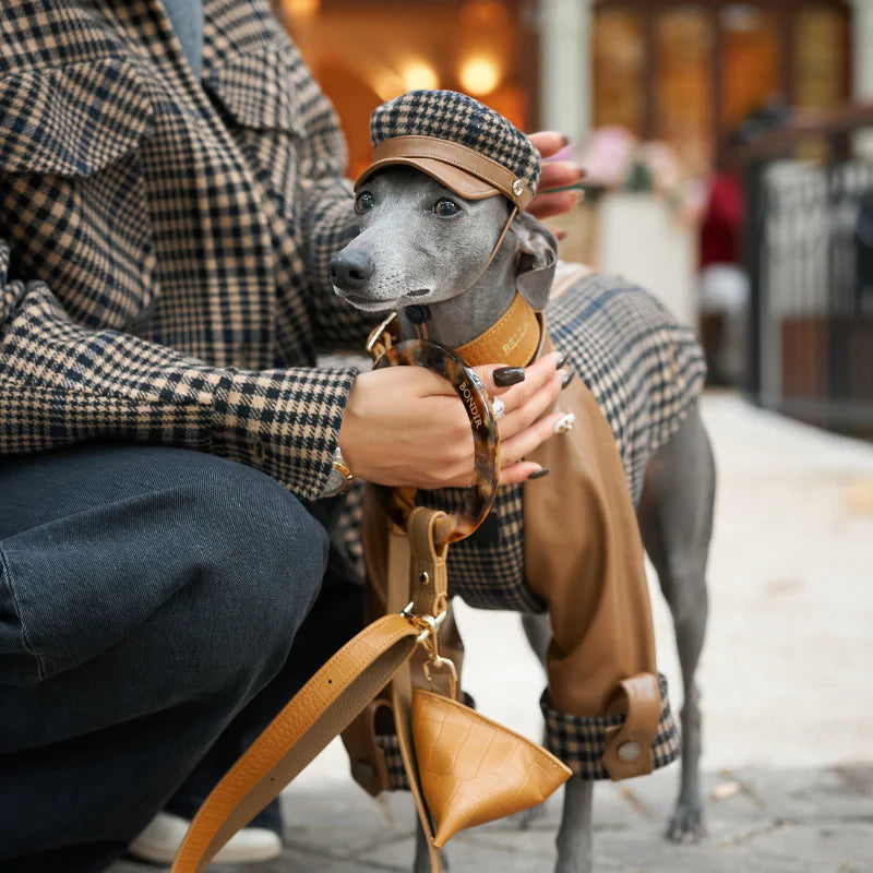 Ashwood Dog Hat