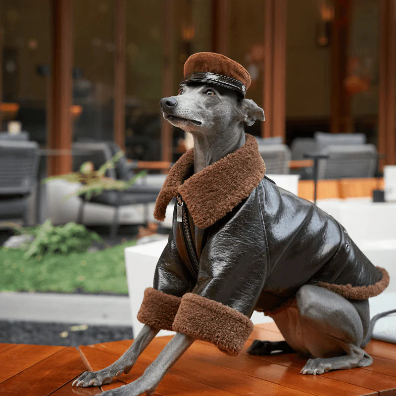 Woodland Dog Hat
