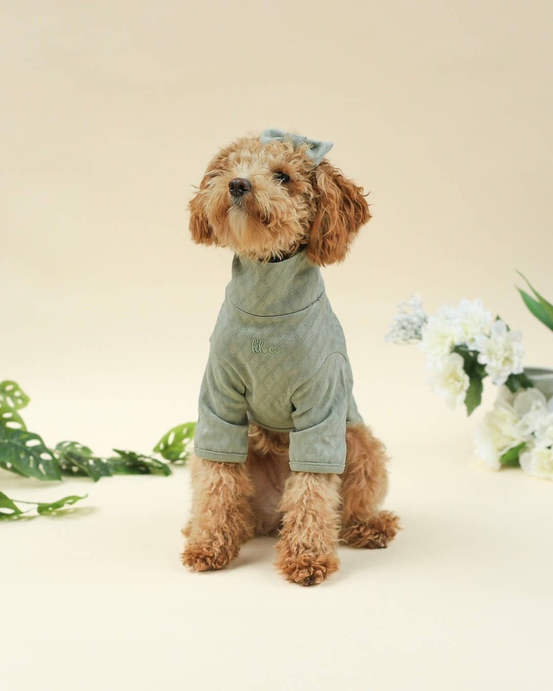 Marlowe Pet