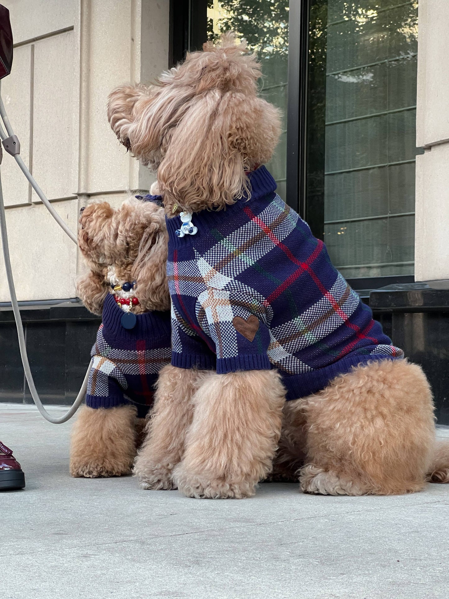 Hearthside Dog Sweater