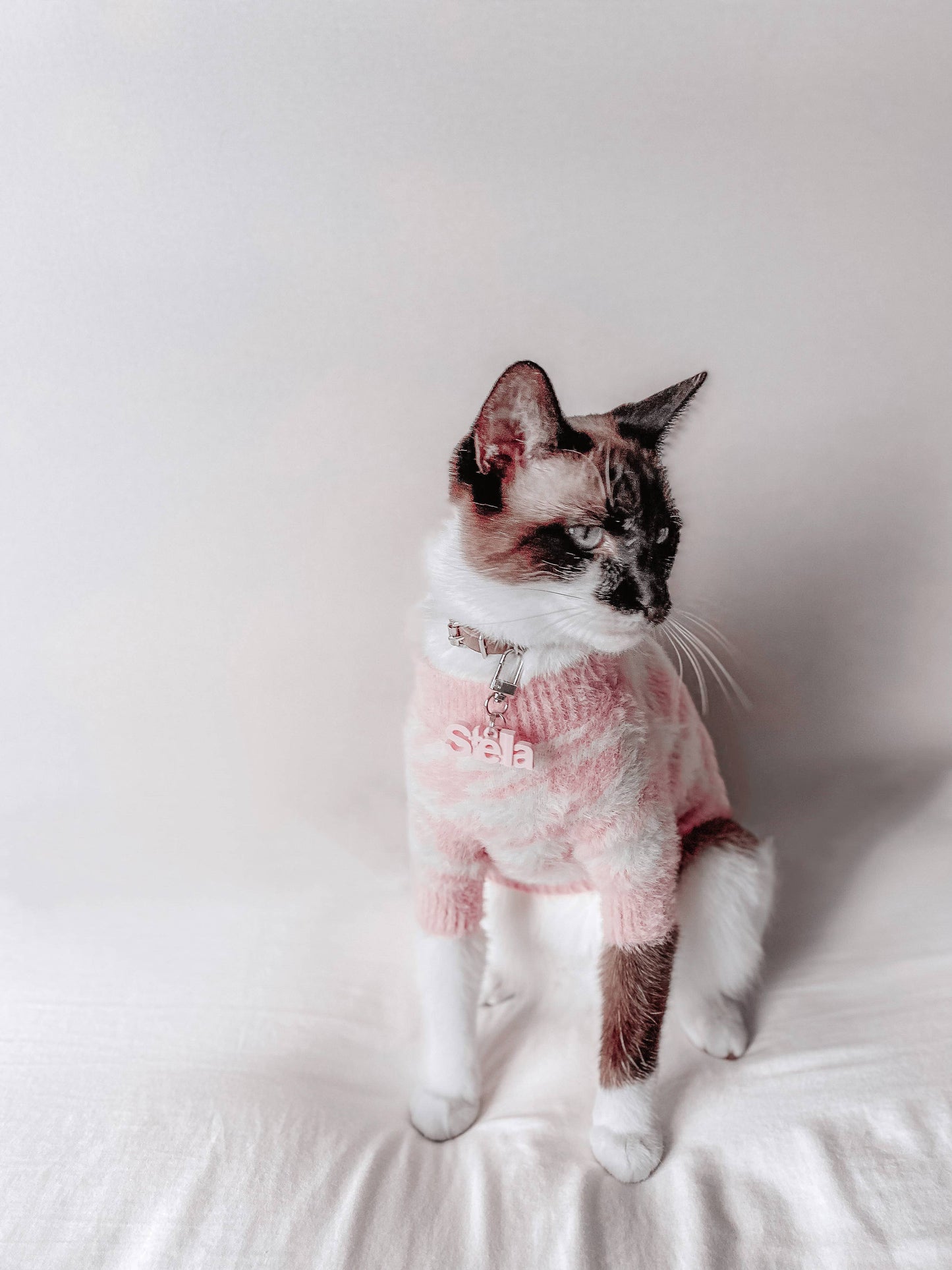 Jolie Soft Cloud Sweater | Pet Sweater for Dogs & Cats