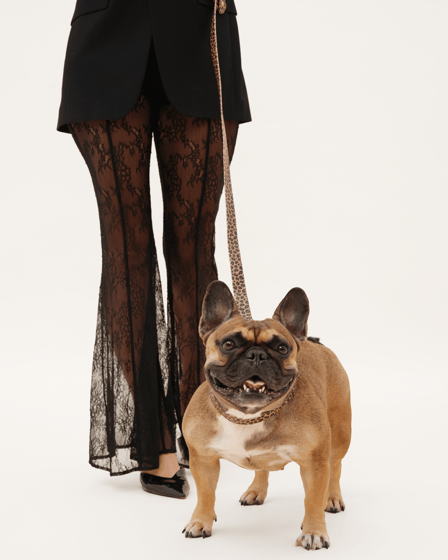 Wander! Waterproof Collar Leopard