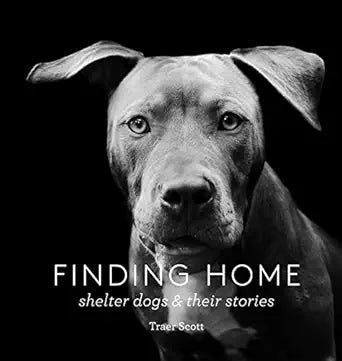 Finding Home - Shelter Dogs & Their Stories