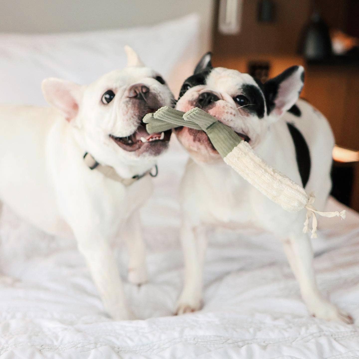 FARMER'S MARKET SET // ENRICHMENT TOY SET // SNUFFLE TOY
