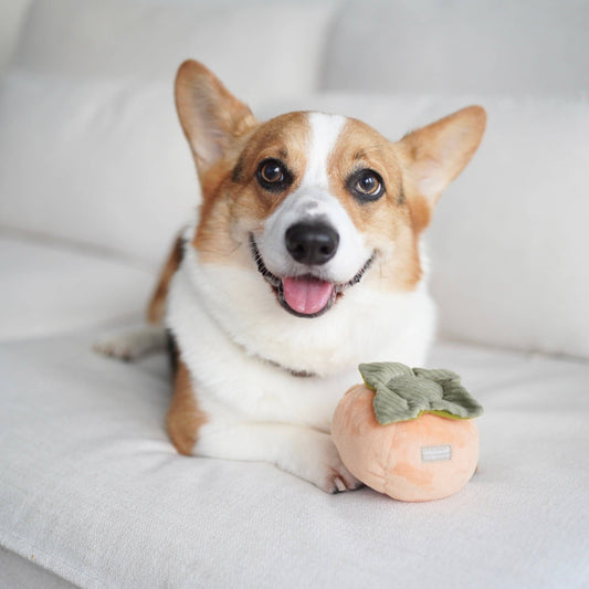 Persimmon / Enrichment Dog Toy // Snuffle Toy